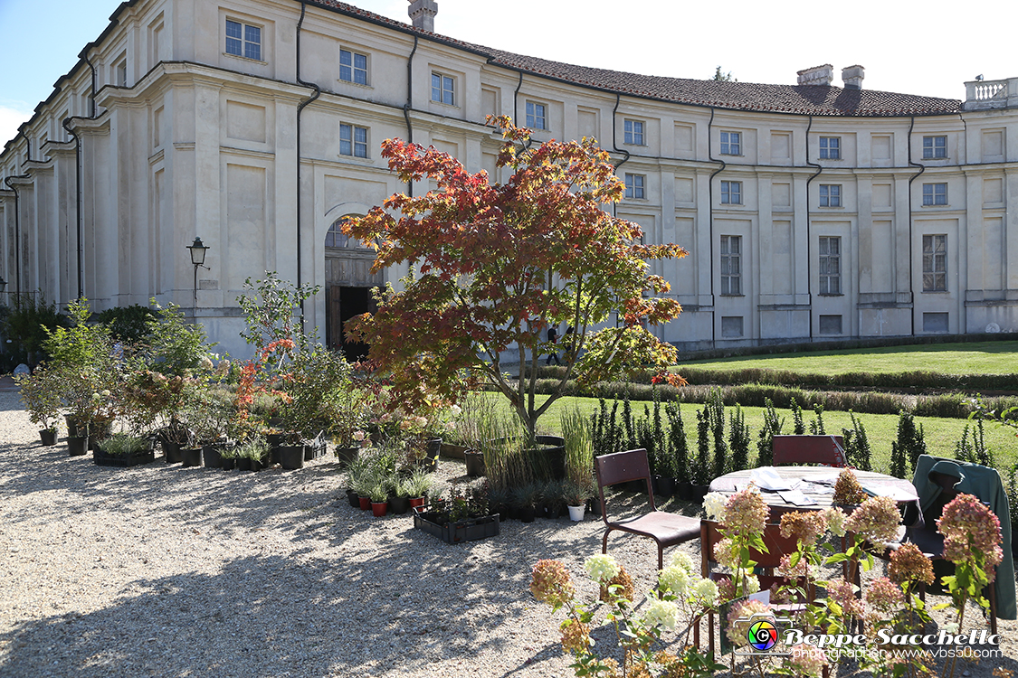 VBS_2364 - FloReal 2021 alla Palazzina di Caccia di Stupinigi.jpg